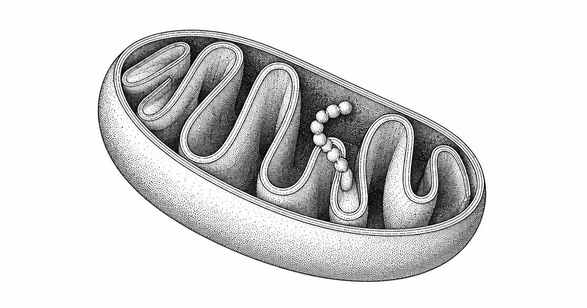 Black-and-white illustration for Elamipretide